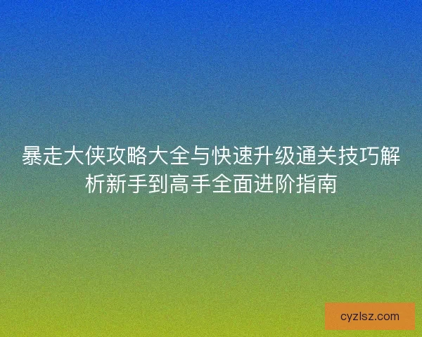 暴走大侠攻略大全与快速升级通关技巧解析新手到高手全面进阶指南