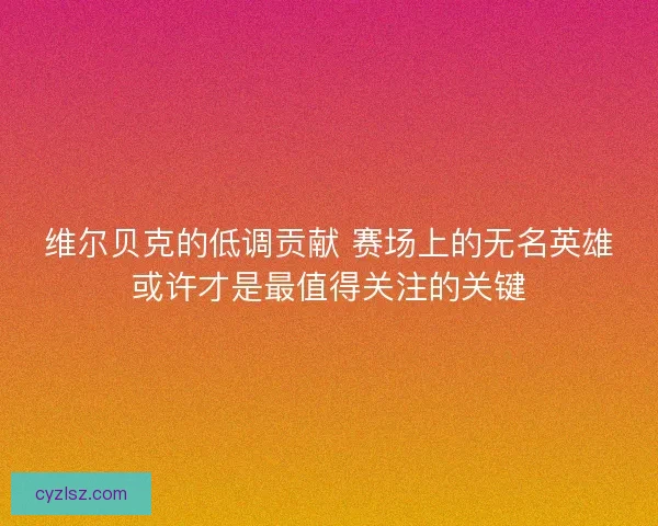 维尔贝克的低调贡献 赛场上的无名英雄或许才是最值得关注的关键