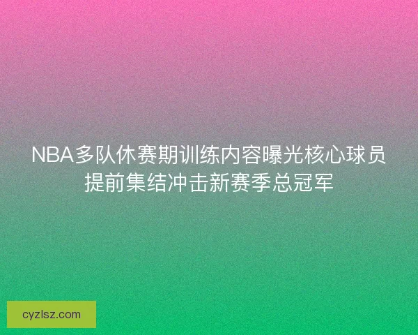 NBA多队休赛期训练内容曝光核心球员提前集结冲击新赛季总冠军